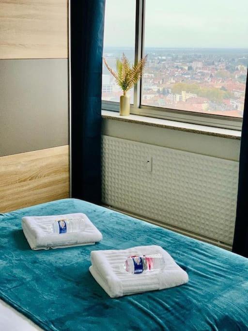 Tour De L'Europe, En Plein Centre Avec Parking. Apartment Mulhouse Luaran gambar
